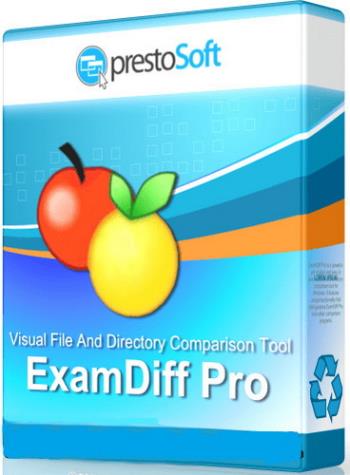 ExamDiff Pro 10.0.1.5 Master Edition Rus Portable